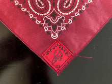 Load image into Gallery viewer, Burgundy Paisley Skulldana®