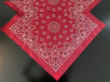 Load image into Gallery viewer, Burgundy Paisley Skulldana®