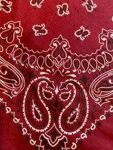 Load image into Gallery viewer, Burgundy Paisley Skulldana®