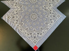 Load image into Gallery viewer, Denim Paisley Skulldana®