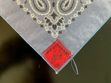 Load image into Gallery viewer, Denim Paisley Skulldana®