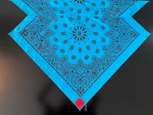 Load image into Gallery viewer, Teal Paisley Skulldana®