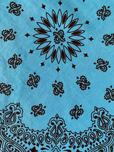 Load image into Gallery viewer, Teal Paisley Skulldana®