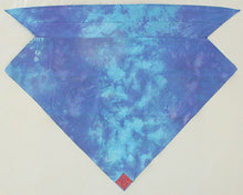 Load image into Gallery viewer, Blue Tie Dye Skulldana®