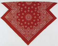 Load image into Gallery viewer, Burgundy/Gold Glitter Paisley Skulldana®
