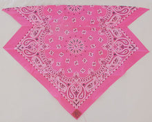 Load image into Gallery viewer, Hot Pink Paisley Skulldana®