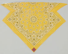 Load image into Gallery viewer, Lemon Yellow Paisley Skulldana®