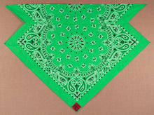 Load image into Gallery viewer, Lime Green Paisley Skulldana®