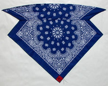 Load image into Gallery viewer, Navy Paisley Skulldana®