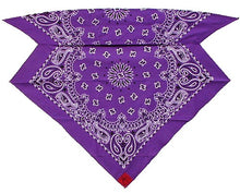 Load image into Gallery viewer, Purple Paisley Skulldana®