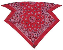 Load image into Gallery viewer, Red Paisley Skulldana®