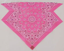 Load image into Gallery viewer, Hot Pink Paisley Skulldana®
